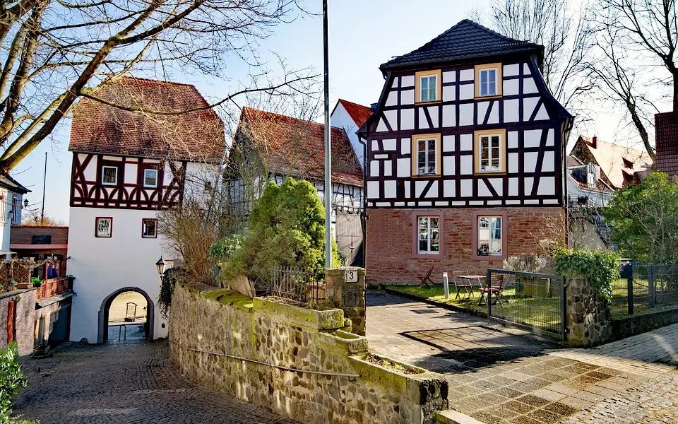Place for excursions: Hanau Steinheim