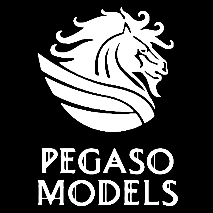 Vendor: Pegaso Models
